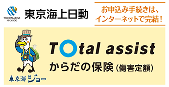 東京海上日動 からだの保険（障害定額）